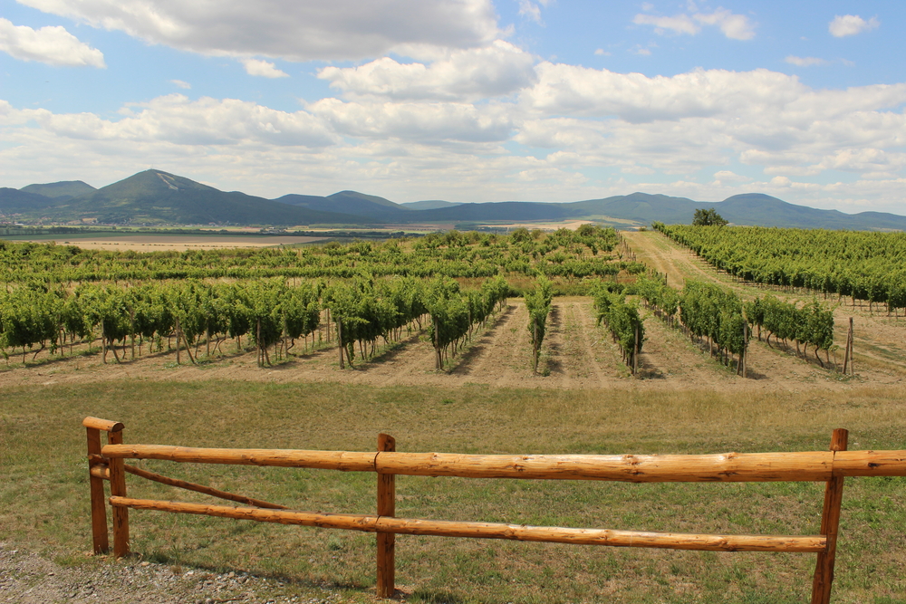 tokaj