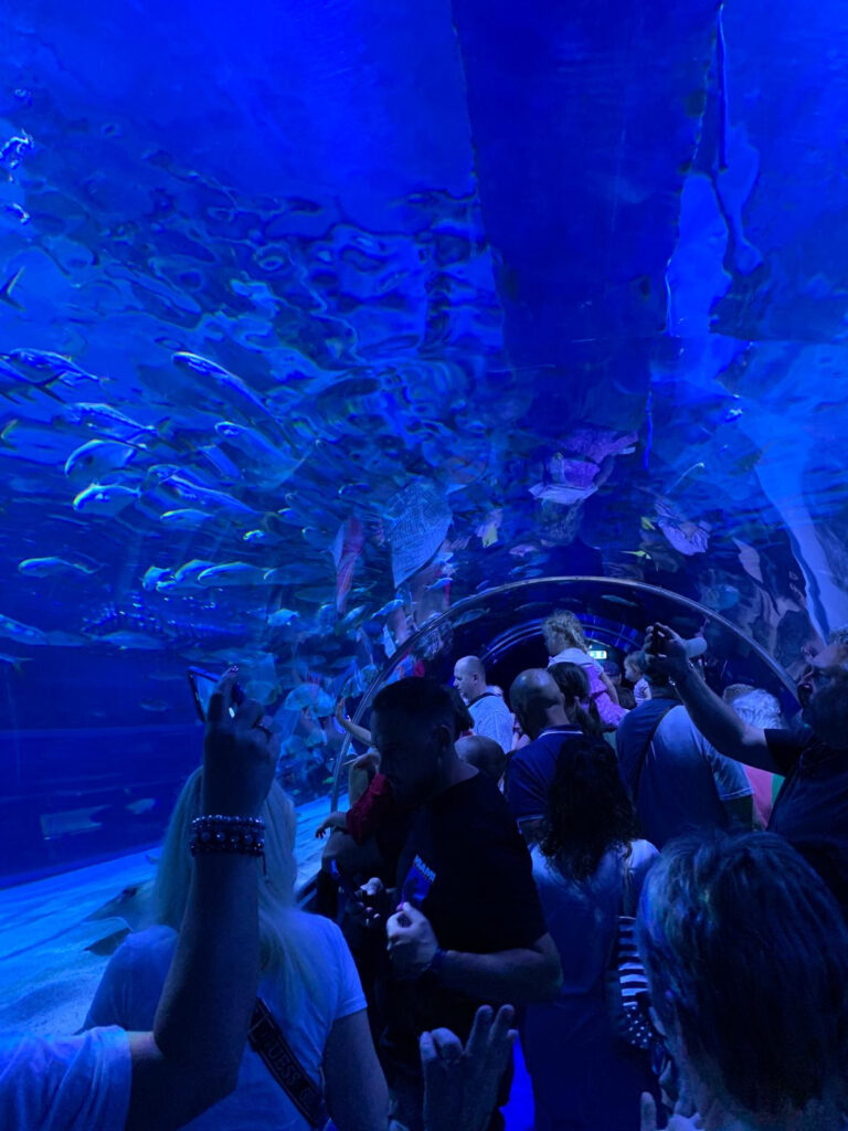 Tropicarium a Oceanarium v Budapešti. Foto_L. Radzová
